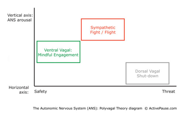polyvagal theory diagram