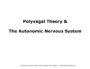 polyvagal theory